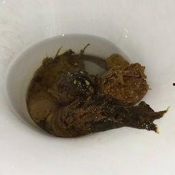 吃茭瓜大便黑